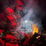 Load image into Gallery viewer, WildTorch
