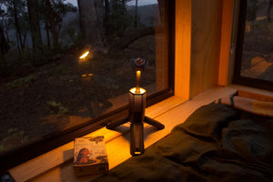 WildTorch