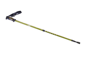 Hiking Pole