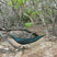 Load image into Gallery viewer, DD SuperLight Hammock
