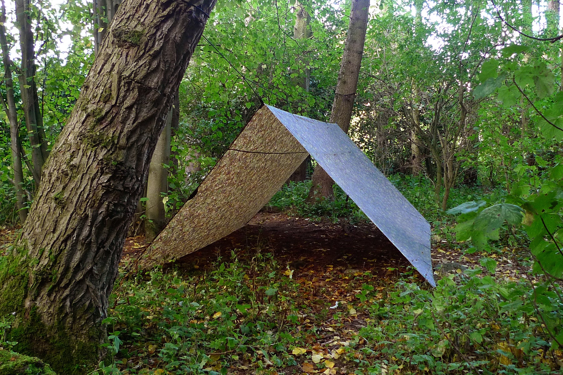 DD Tarp XL 4m x 4m (Choice of colour)