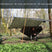 Load image into Gallery viewer, DD Nest Hammock - MC
