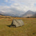 Load image into Gallery viewer, DD A Frame Tent Multicam
