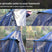 Load image into Gallery viewer, DD Travel / Bivi Hammock
