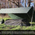 Load image into Gallery viewer, DD Travel / Bivi Hammock
