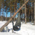 Load image into Gallery viewer, DD Travel / Bivi Hammock
